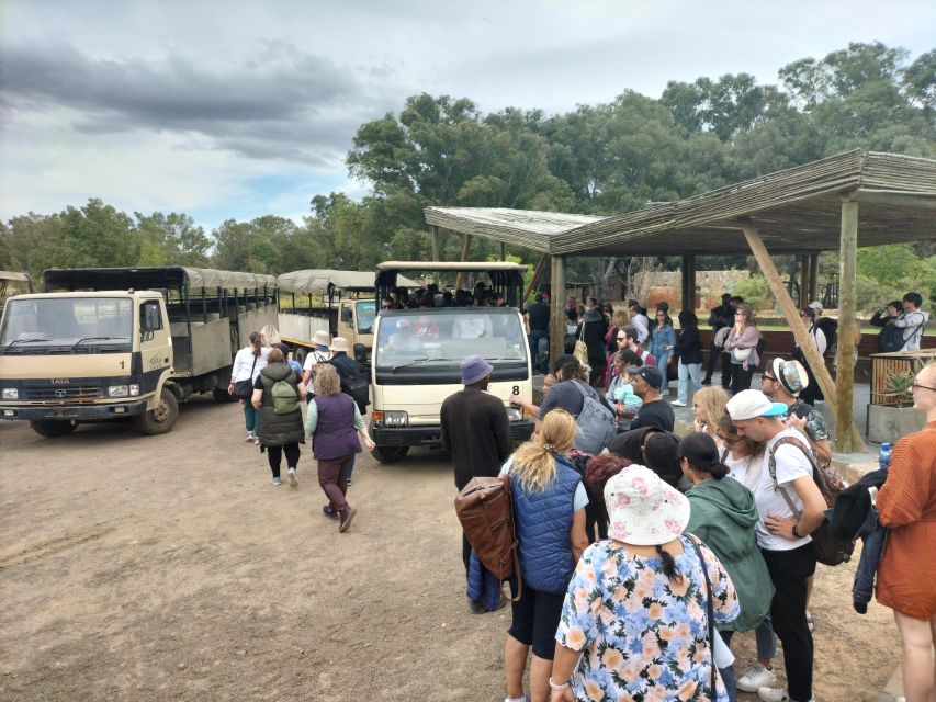Experience an Amazing Big5 Safari near Cape Town! - Price and Value: Is $345 Per Person Worth It?