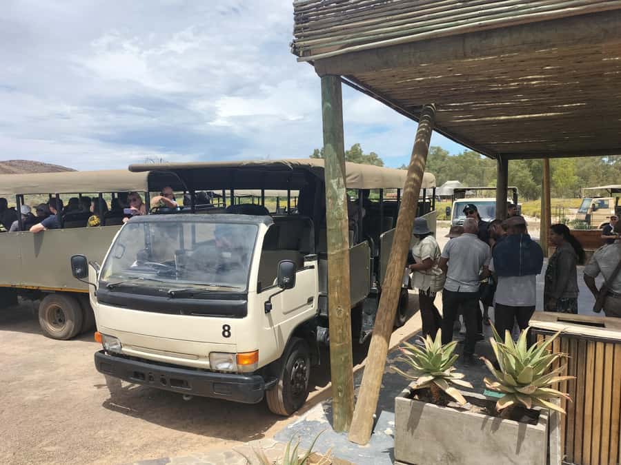 Experience an Amazing Big5 Safari near Cape Town! - Guides That Make the Experience Feel Personal