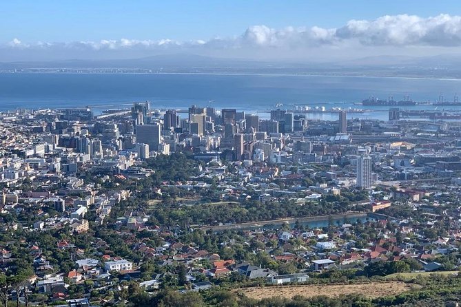Experience views of Cape Town with Robben Island &Table Mountain full day tour - Who This Cape Town Tour Fits Best