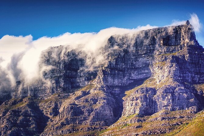 Experience views of Cape Town with Robben Island &Table Mountain full day tour - Table Mountain by Cableway Cart: Panoramas, Short Walks, and Wildlife