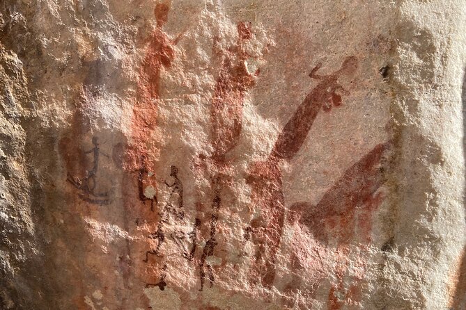 Explore ancient rock art on a private guided trip from Cape Town - Clanwilliam stop, a short taste of an old town