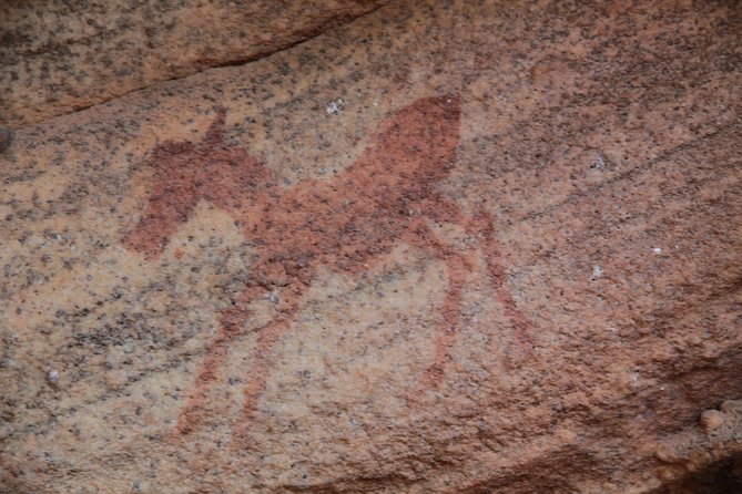 Explore ancient rock art on a private guided trip from Cape Town - The 4-hour Cederberg time, where the scenery supports the art