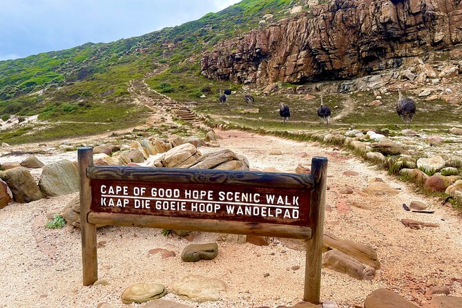 Explore Cape of Good Hope and Boulders Beach Private Tour - Boulders Beach Penguin Colony: the ticketed highlight you should budget for