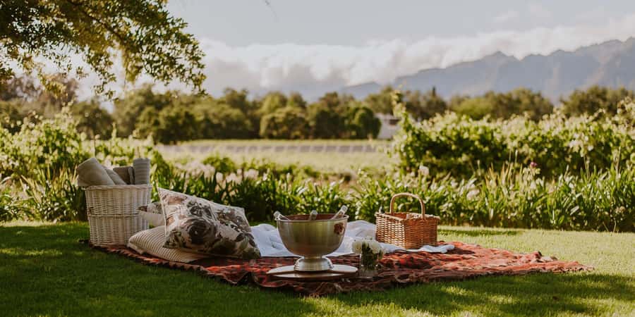 Explore Table Mountain, Kirstenbosch, & Constantia wineries. - Should You Book This Tour?