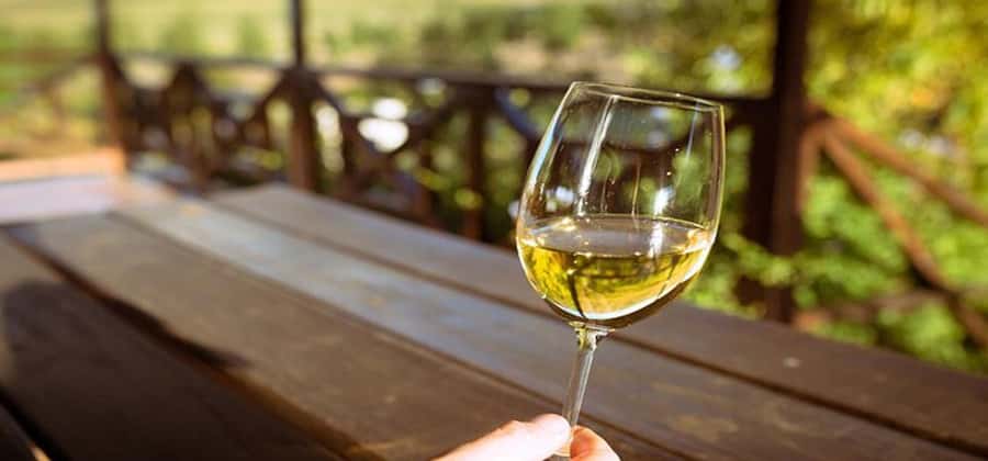 Explore Table Mountain, Kirstenbosch, & Constantia wineries. - A Private Cape Town Route That Actually Makes Sense