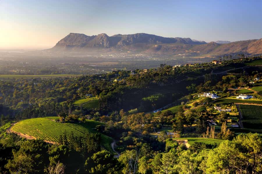Explore Table Mountain, Kirstenbosch, & Constantia wineries. - Weather Reality Check for Table Mountain and Timing