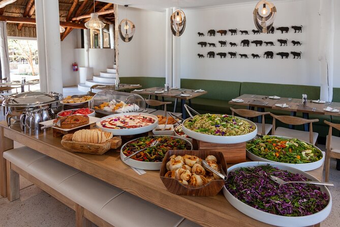 Explore the best Big 5 Aquila Safari Tour and Wine Tasting - Who this tour is best for (and who should think twice)