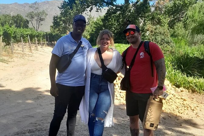 Explore the Cape Winelands with Lwafika Tours and Transfers - Stellenbosch at Boschendal, MCC tastings under a 365-year-old oak