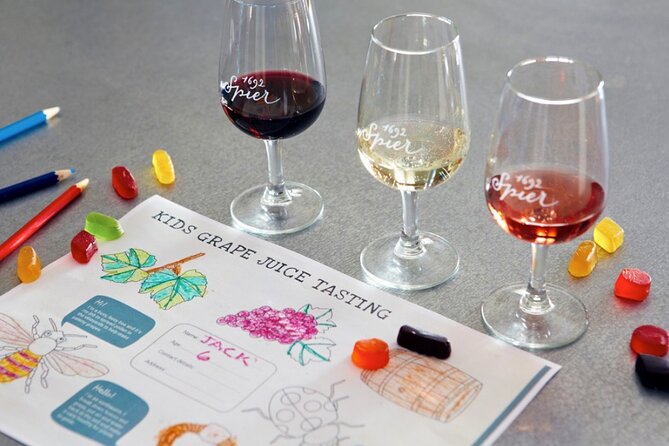 Family Friendly Wine Tour Cape Town - Key Things That Make This Family Wine Day Feel Different