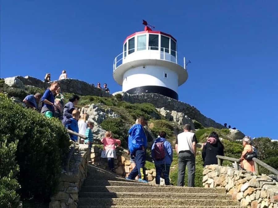 Fascinating Cape Peninsula Experience (private & exclusiv) - Private 8-Hour Cape Peninsula Loop: What Your Day Feels Like