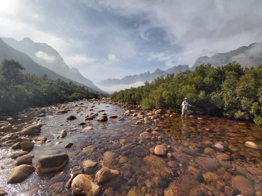 Fly Fishing in Cape Town - The 5-hour flow: safety, guided fishing, lunch, back to Cape Town