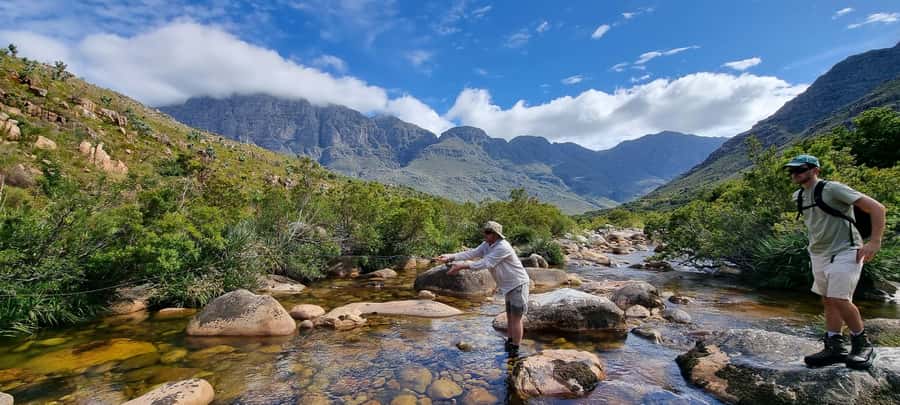 Fly Fishing in Cape Town - Light tackle and sight fishing: what you’ll actually do out there