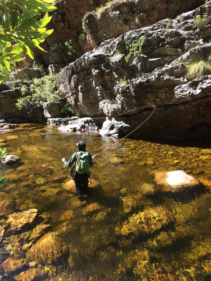 Fly Fishing in Cape Town - Lunch by the river: local and organic fuel that makes sense
