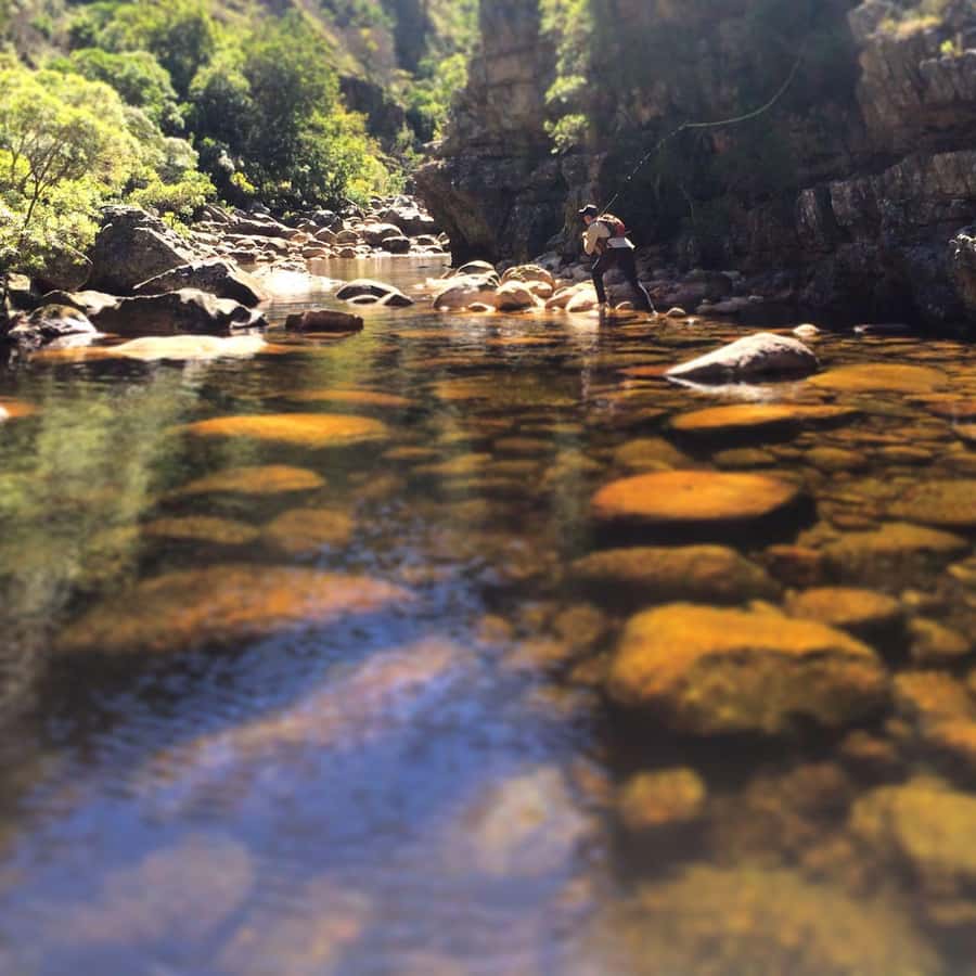Fly Fishing in Cape Town - What’s included, what’s extra, and how to judge the $280 value