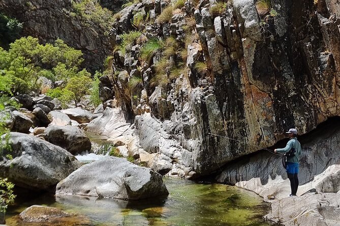Fly Fishing in Cape Town for Five Hours - Two Waters, One Goal: Trout in Cape Streams or Leer in the Estuary