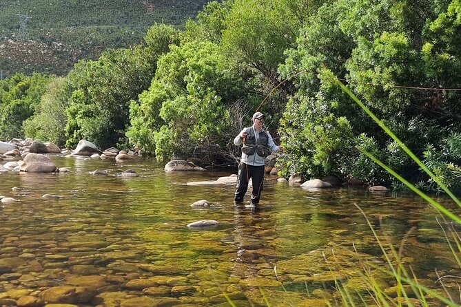 Fly Fishing in Cape Town for Five Hours - Freshwater Morning: Sight-Fishing Rainbow and Brown Trout