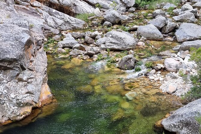 Fly Fishing in Cape Town for Five Hours - Getting There: Pickup Offered, but Private Transport Isn’t