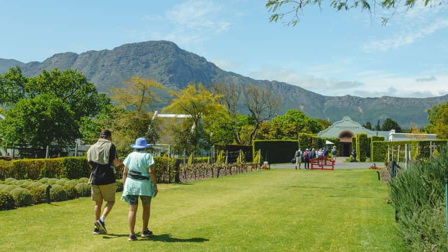 Franschhoek: An enchanting storytelling walk to 3 wine farms - Key things that make this wine walk worth your afternoon