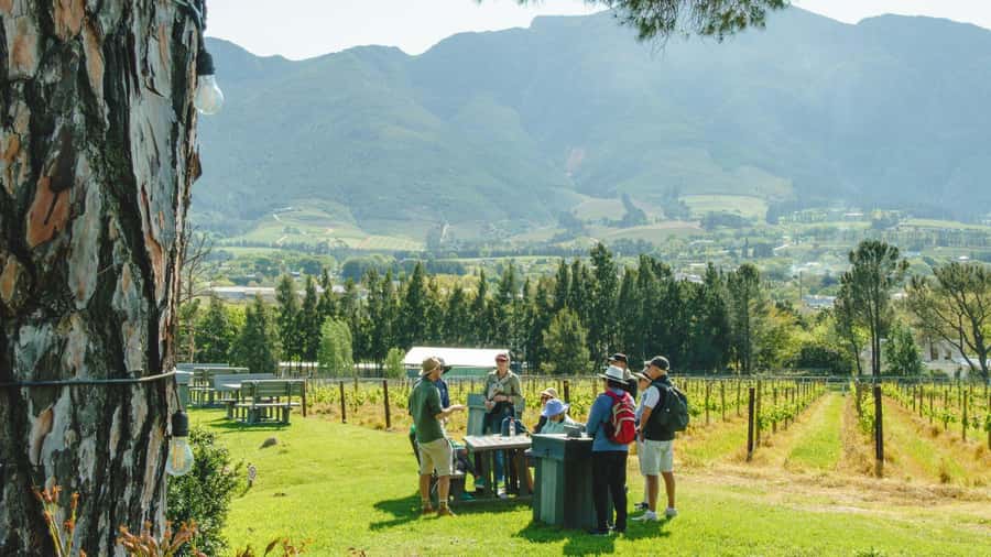 Franschhoek: An enchanting storytelling walk to 3 wine farms - Mont Rochelle, Mullineux & Leeu, La Cotte: the tasting flow that keeps it fun