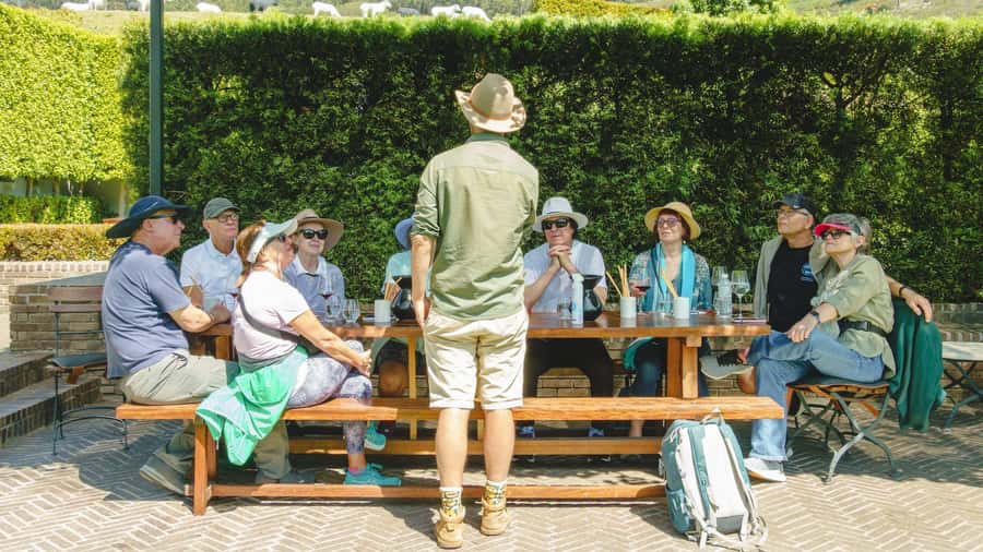 Franschhoek: An enchanting storytelling walk to 3 wine farms - The stories are the main course, with guides like Cedric and Matt