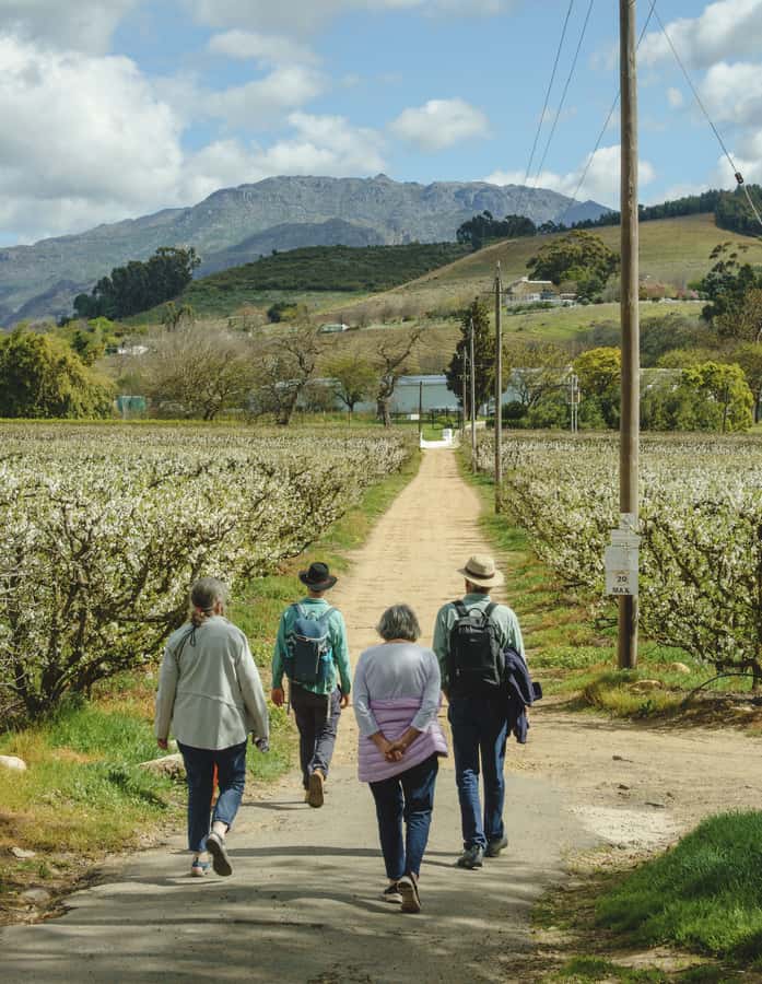 Franschhoek: An enchanting storytelling walk to 3 wine farms - Should you book this Franschhoek storytelling wine walk?