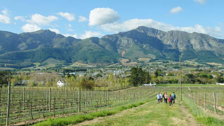 Franschhoek: An enchanting storytelling walk to 3 wine farms - The 4-kilometre walk: where the best views come from