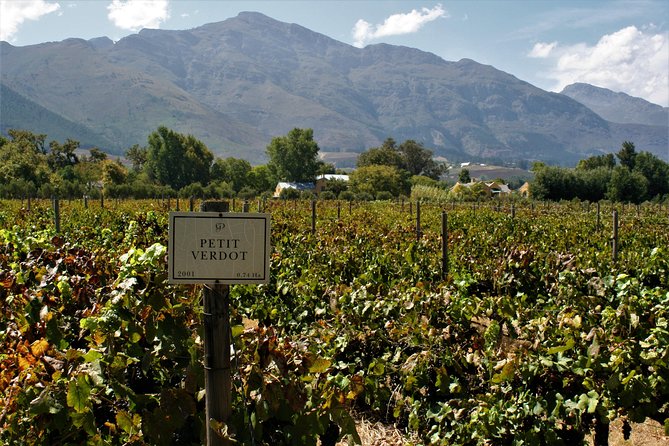 Franschhoek Cycle Experience Half Day - Private Tour - La Bri Estate: Wine Pairings With Chocolate or Biltong