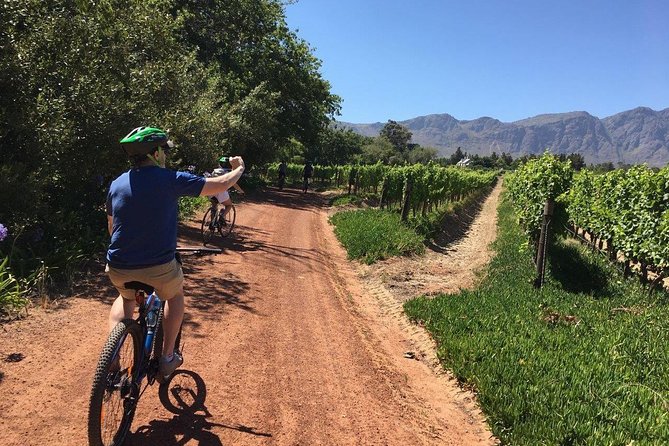Franschhoek Cycle & Tasting Experience 4hr (Shared) - Key highlights worth noting