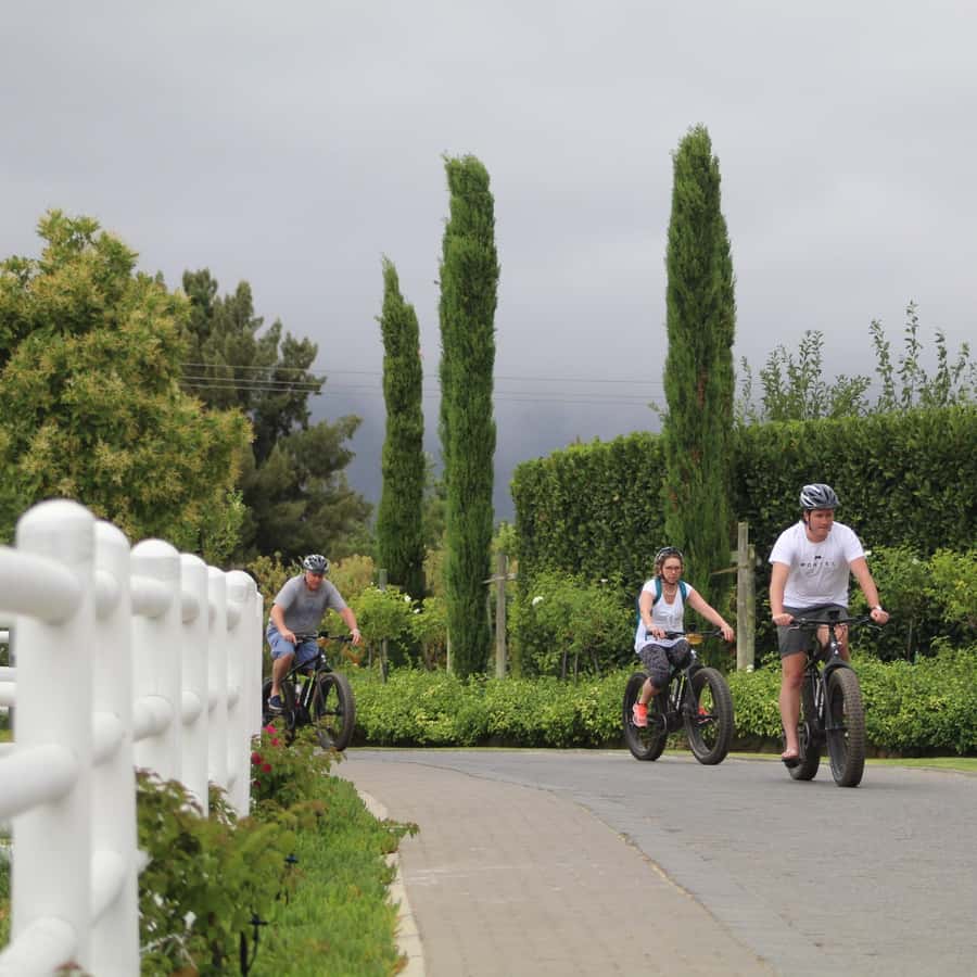 Franschhoek: E-Bike Guided Winery Tour - Why an E-Bike Winery Tour Makes Sense in Franschhoek