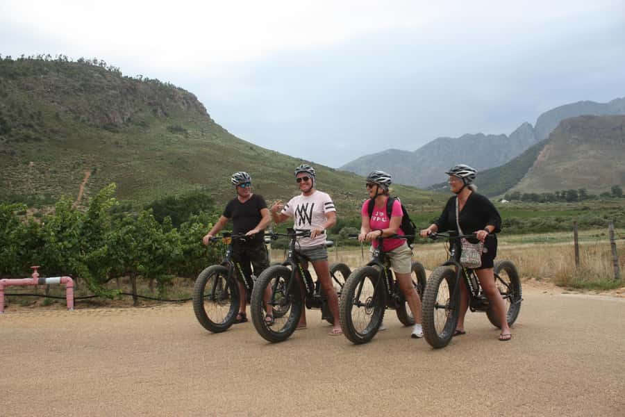 Franschhoek: E-Bike Guided Winery Tour - Price and Value: What $89 Gets You, and What You Control