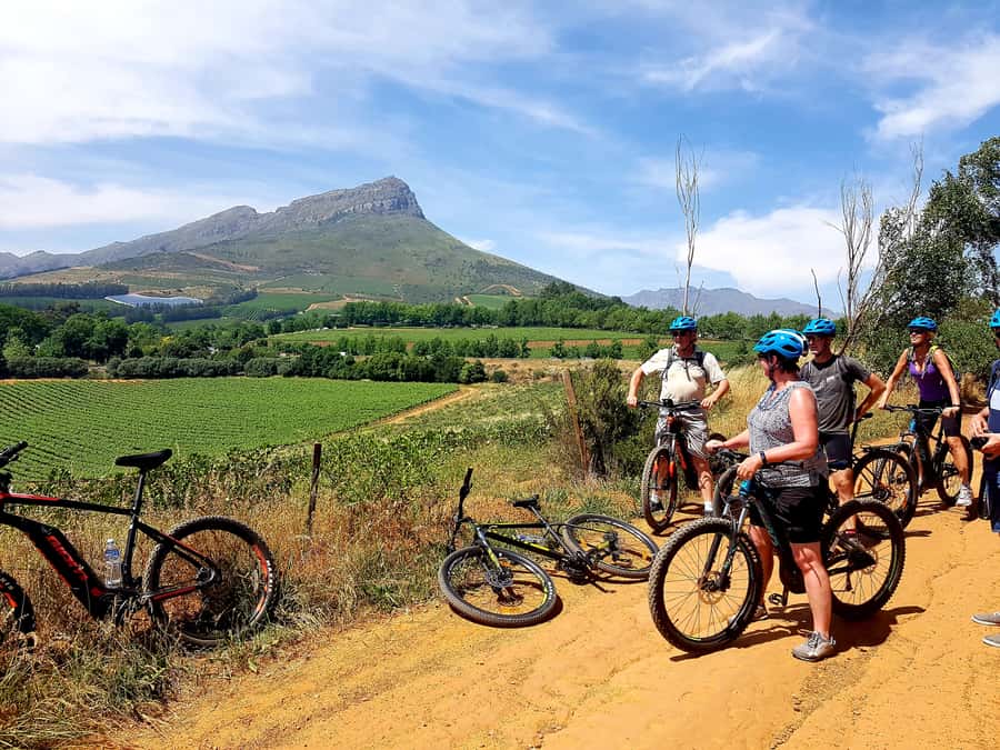 Franschhoek: E-bike Tour with Wine Tasting and Lunch - Key highlights that matter