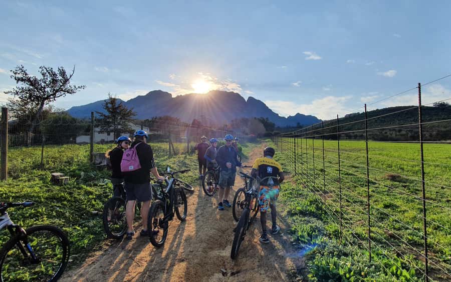 Franschhoek: E-bike Tour with Wine Tasting and Lunch - Bike handling, fitness level, and who should skip