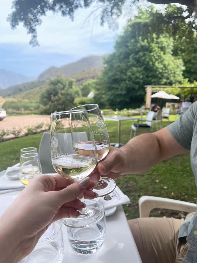 Franschhoek E-Bike & Wine Tour - Franschhoek on an e-bike: why this 4.5-hour format works