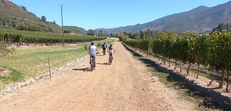 Franschhoek E-Bike & Wine Tour - Old Road Wine Co meeting point: start with clarity, then ride