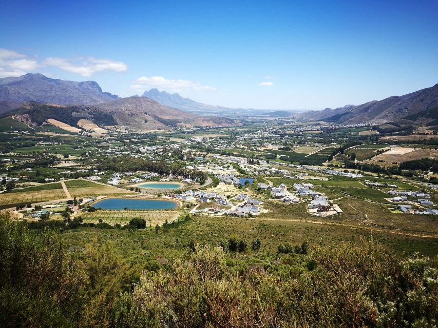 Franschhoek E-Bike & Wine Tour - Wildeberg Wines: what you’re likely to experience first