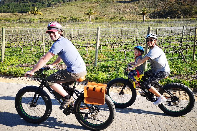 Franschhoek E-Bike Wine Tour (Half Day) - Key Highlights That Make This Tour Worth Your Time