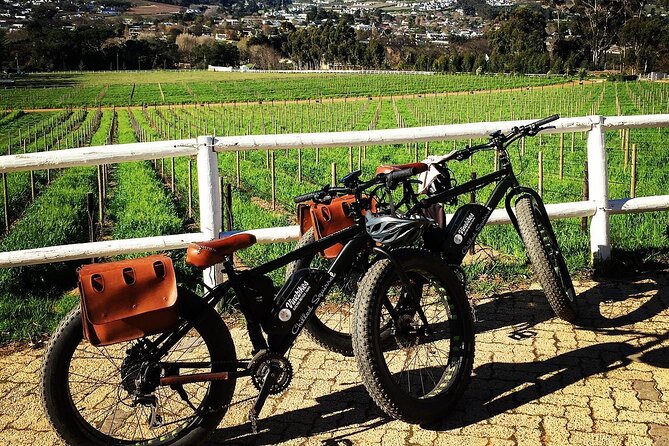 Franschhoek E-Bike Wine Tour (Half Day) - What the Small Group Really Changes