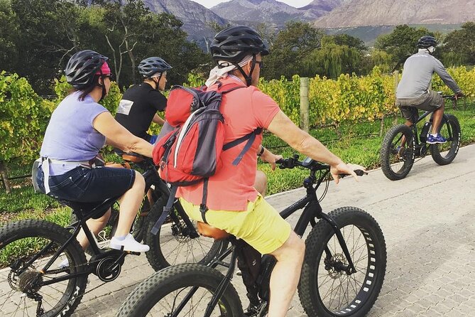Franschhoek E-Bike Wine Tour (Half Day) - Practical Tips: How to Make the Ride Feel Effortless