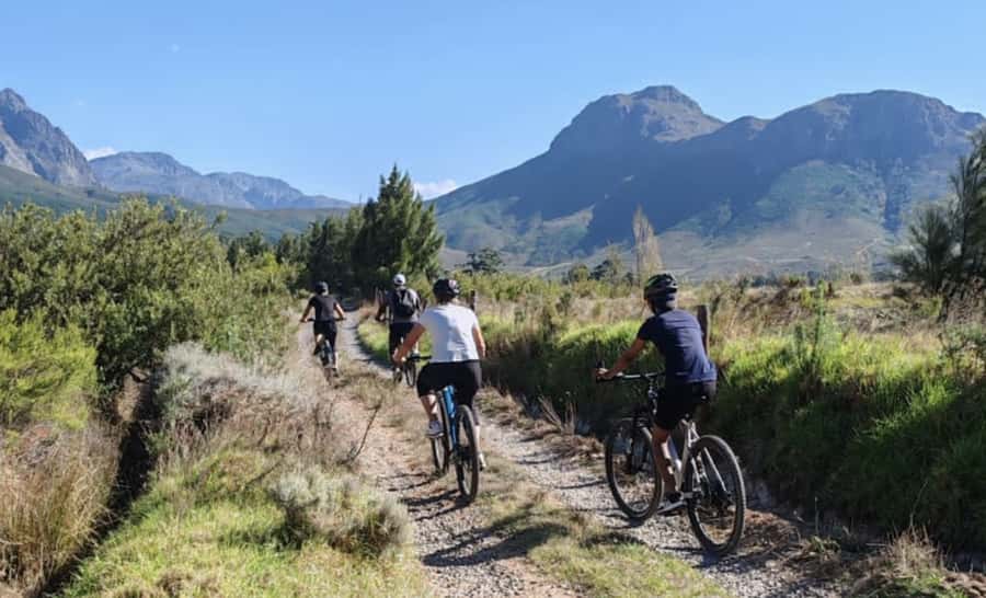 Franschhoek: E-Bike & Wine Tour (Shared Tour) - Key highlights before you go