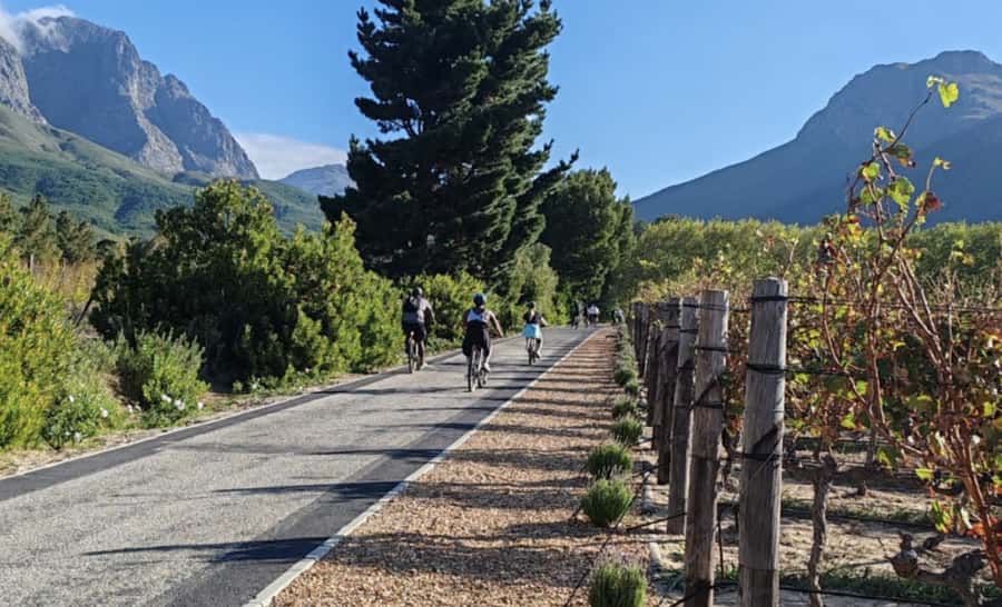 Franschhoek: E-Bike & Wine Tour (Shared Tour) - Getting fitted on a mountain e-bike in Franschhoek