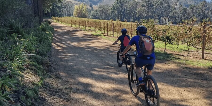 Franschhoek: E-Bike & Wine Tour (Shared Tour) - Shared tour logistics that actually matter on the ground