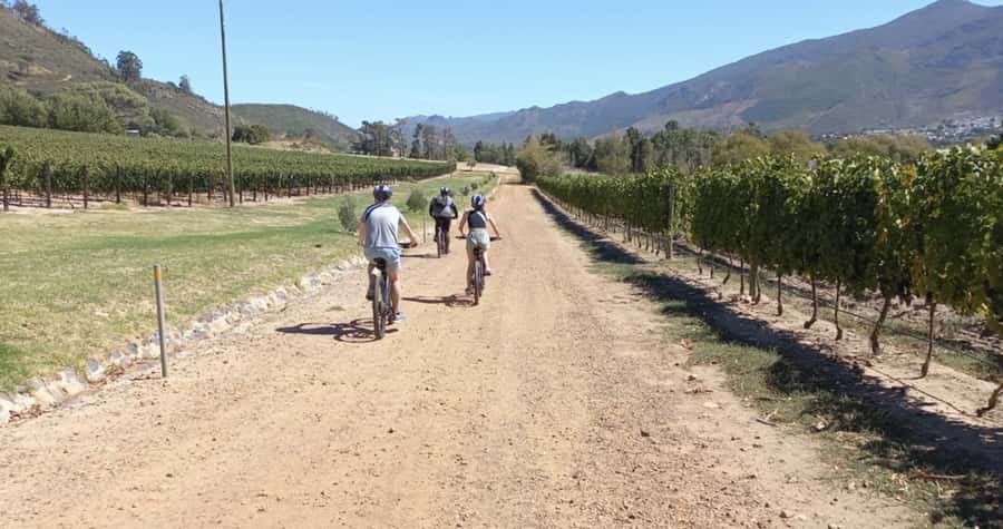 Franschhoek: E-Bike & Wine Tour (Shared Tour) - Who this tour fits best
