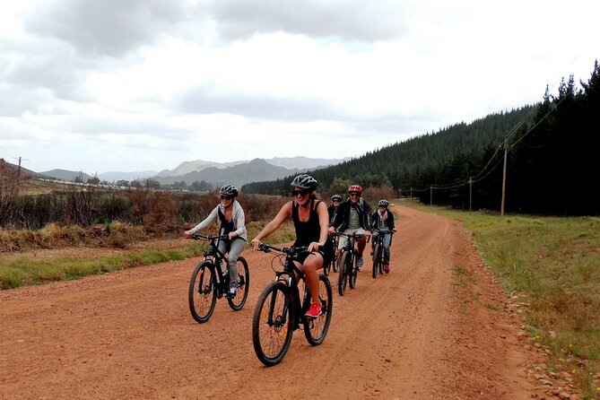 Franschhoek Half Day Winelands Mountain Bike Tour - Key highlights I’d plan around