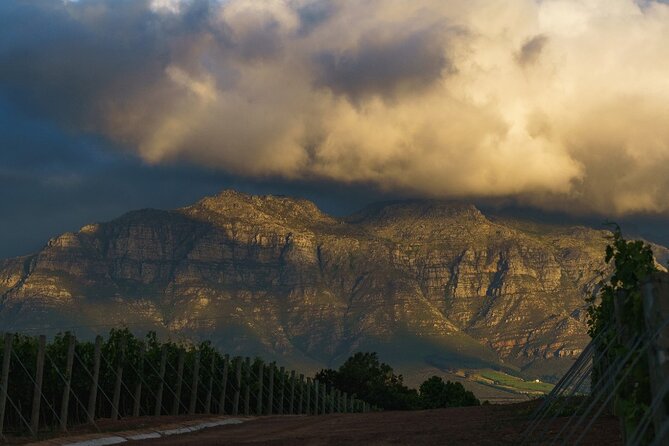 Franschhoek Half Day Winelands Mountain Bike Tour - The ride itself: off-road terrain and how to stay comfortable