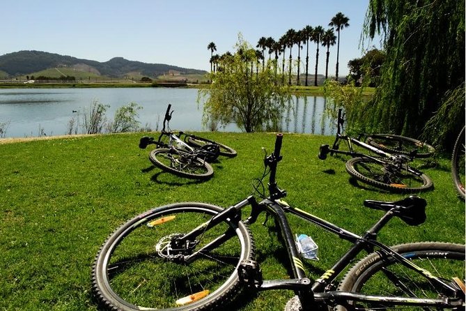 Franschhoek Half Day Winelands Mountain Bike Tour - Setting out from Rickety Bridge, with the valley in view