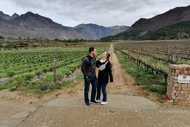 Franschhoek Shared E-Bike and Wine Tour - Why this Franschhoek e-bike-and-wine format works