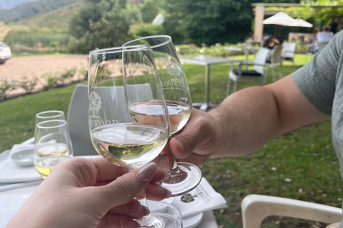 Franschhoek Shared E-Bike and Wine Tour - Getting started: Fabriek Street, bikes sized to you, and a real briefing