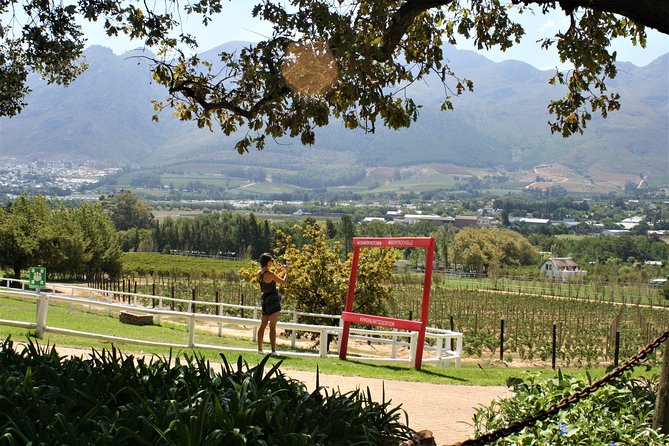 Franschhoek Sip & Cycle Experience Full Day - Private Tour - Why this private cycle day works better than a bus tour