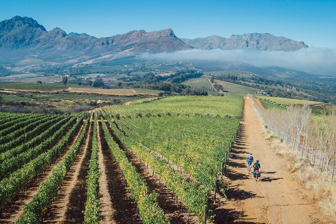 Franschhoek Sip & Cycle Experience Full Day - Private Tour - Guides like Skeezo and Melo: history, pacing, and good group energy