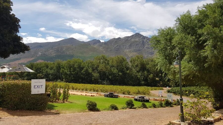 Franschhoek & Stellenbosch: Full-Day Wine Tour - Stellenbosch and Franschhoek, the smart way to see both in one day